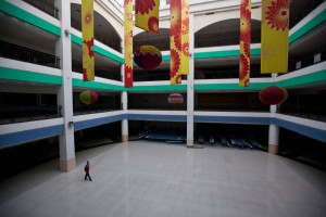 WildChina Expert Spotlight: Questions for Matthew Niederhauser, Photojournalist WildChina Expert Spotlight: Questions for Matthew Niederhauser, Photojournalist