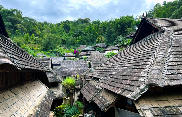 NOVEMBER 27, 2023 Mei Zhang on China’s Newest UNESCO Site: Jingmai Mountain