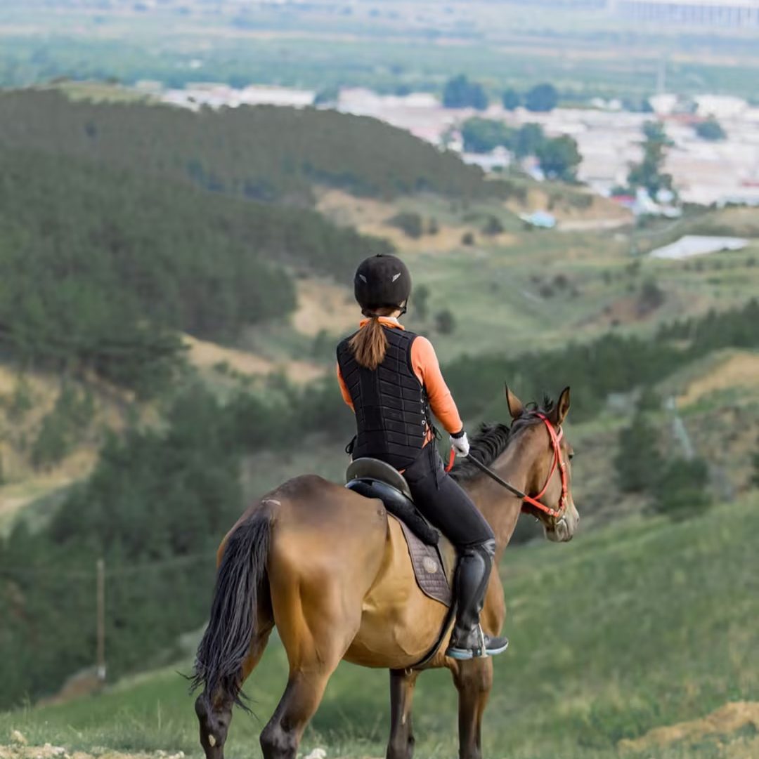 The WildChina Team’s 2023 Keywords Aki exploring uncharted territories | 2023 Keywords