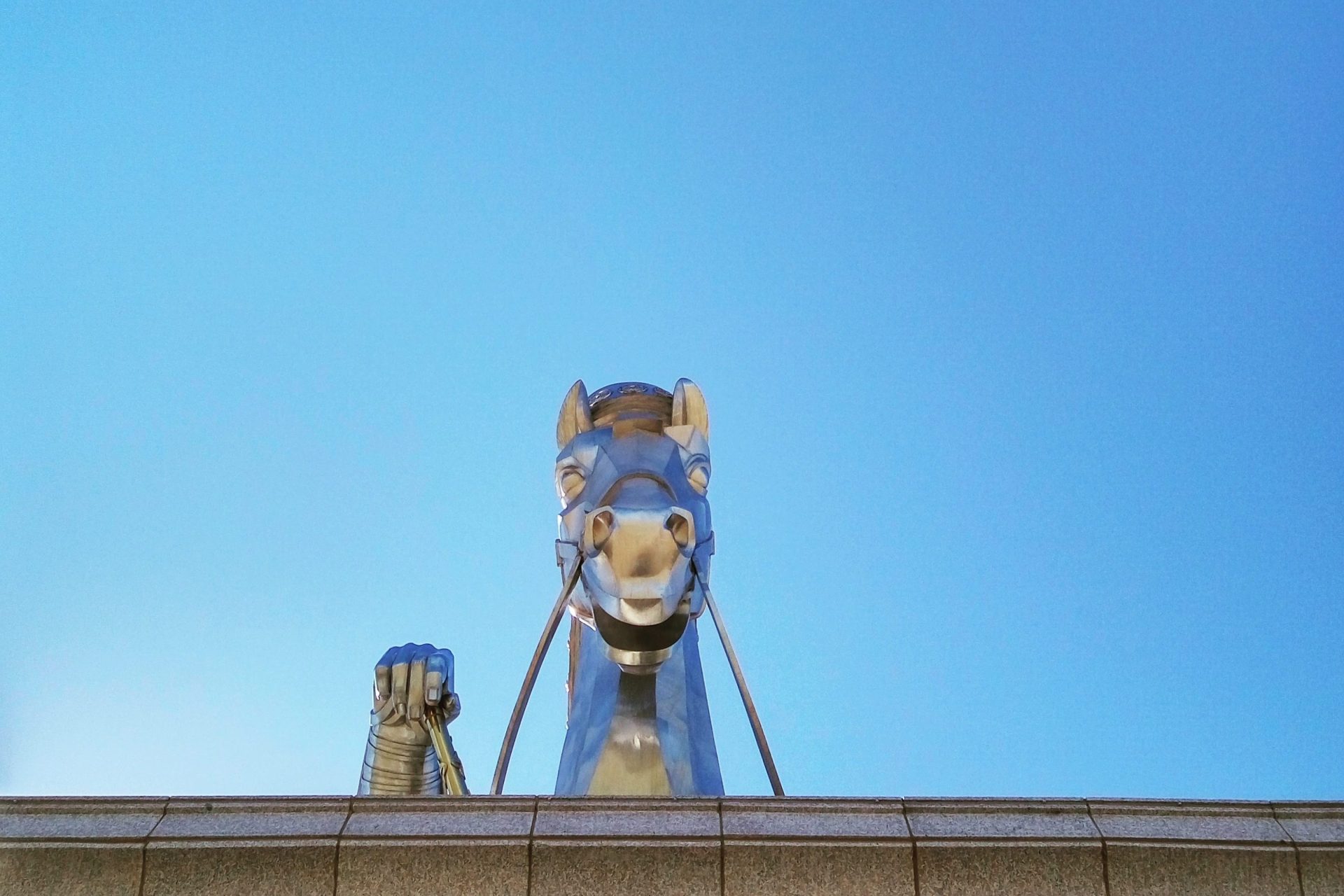 The WildChina Team’s 2023 Keywords A power-saluting equestrian statue | 2023 Keywords