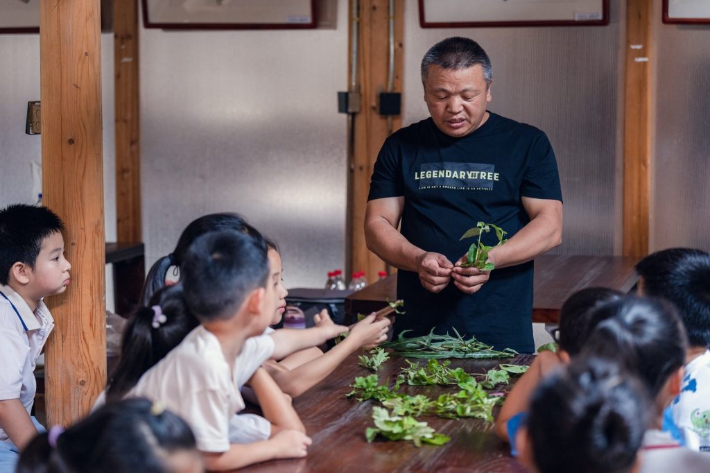 Bendi Stories: Dragon Boat Festival Tea in Songyang, Zhejiang Dragon Boat Festival Tea preparation - Ye Jinping's herb class for local children.