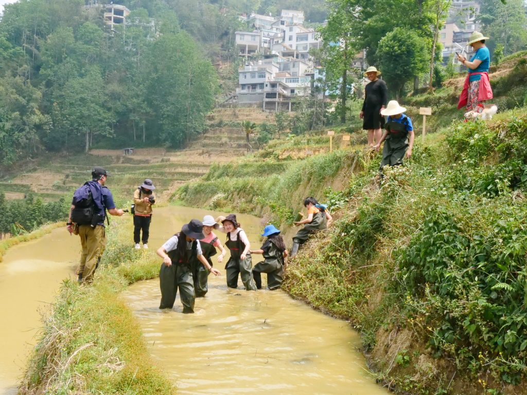 Voluntourism: Fostering Sustainable Change in Rural Yunnan Voluntourism: Fostering Sustainable Change in Rural Yunnan