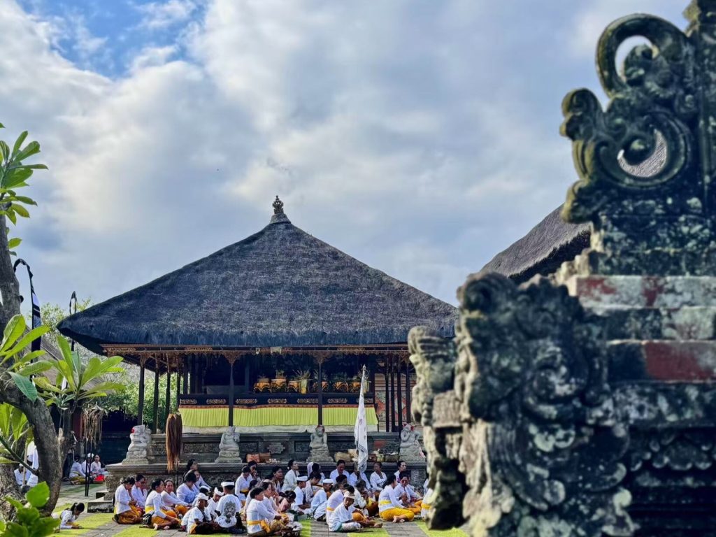 WildChina Team’s Travel Highlights 2024 WildChina Team’s Travel Highlights 2024