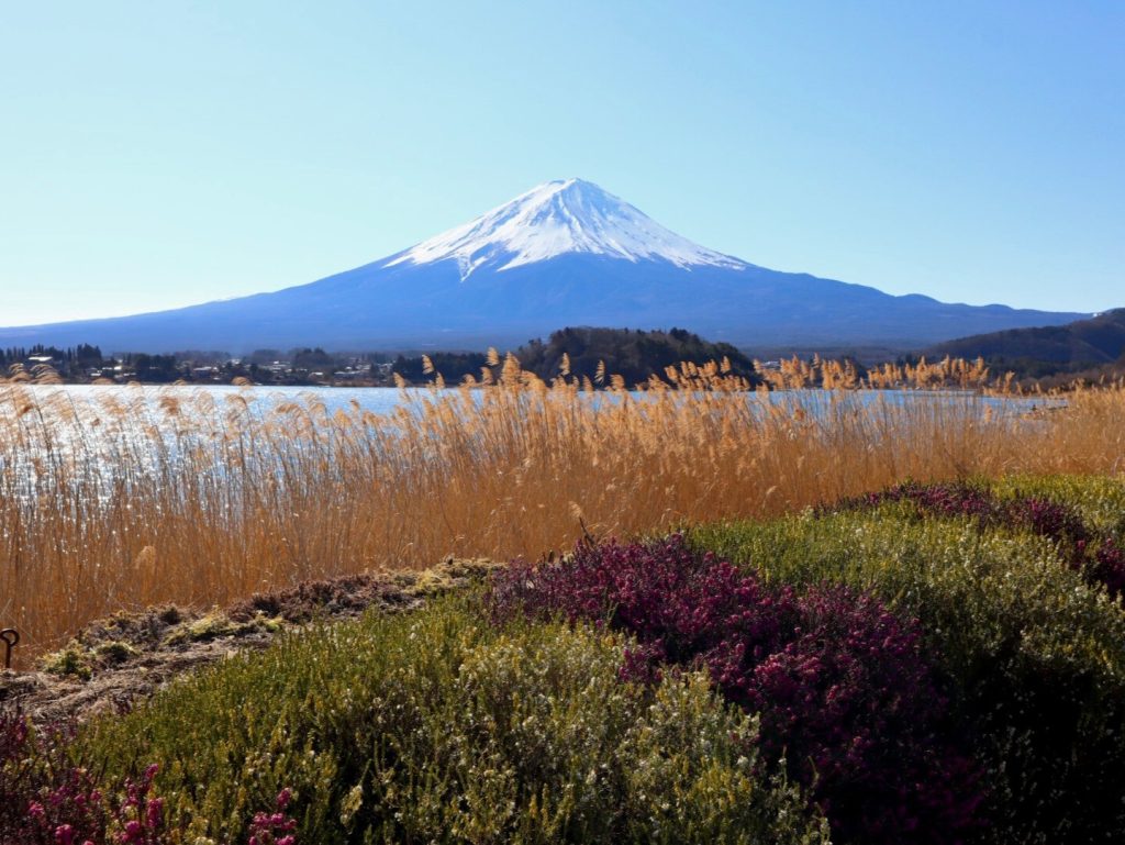 WildChina Team’s Travel Highlights 2024 WildChina Team’s Travel Highlights 2024