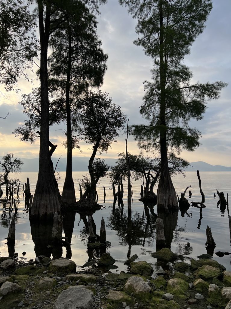 WildChina Team’s Travel Highlights 2024 WildChina Team’s Travel Highlights 2024