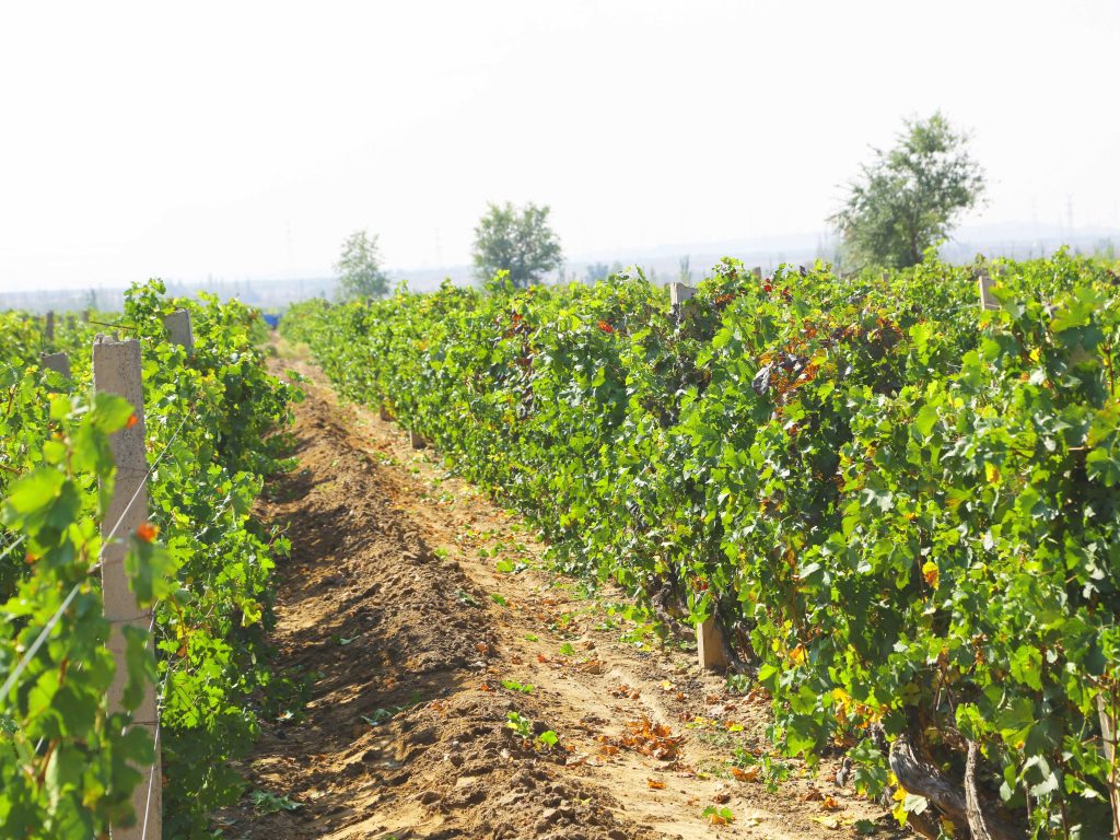 Most Romantic Places in China Most Romantic Places in China