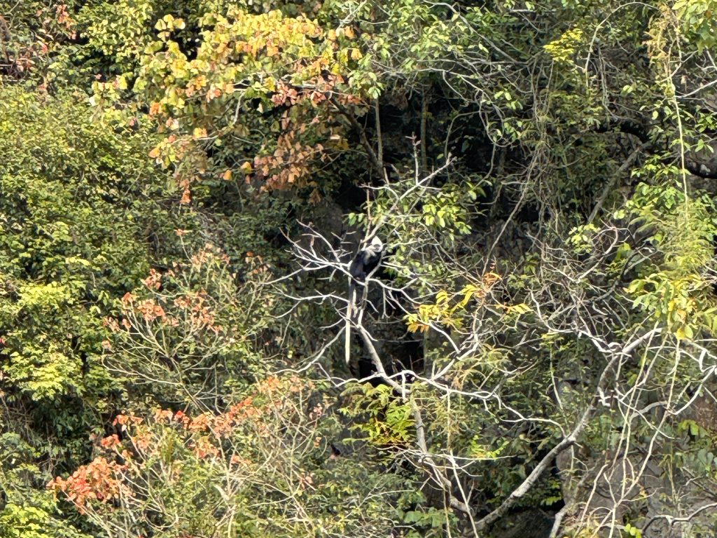 Discovering the Wonders of Chongzuo Discovering the Wonders of Chongzuo