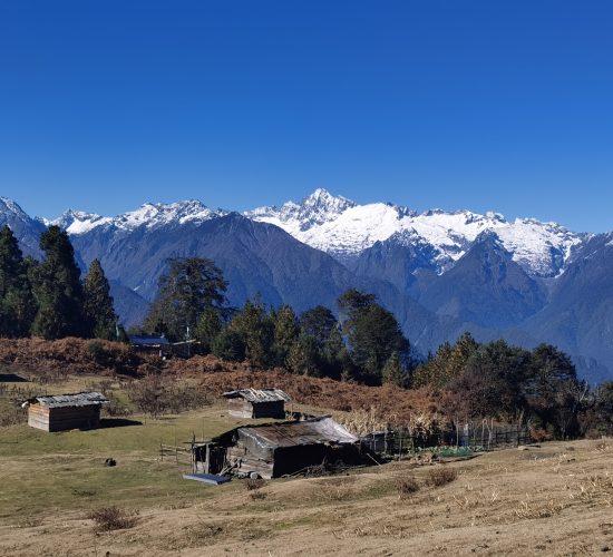 Explore GUDAO's Ancient Tea Horse Trail with WildChina -Arulaka View