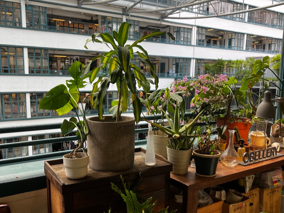 Hong Kong Neighborhoods: A Local's Guide Hong Kong Neighborhoods: A Local's Guide