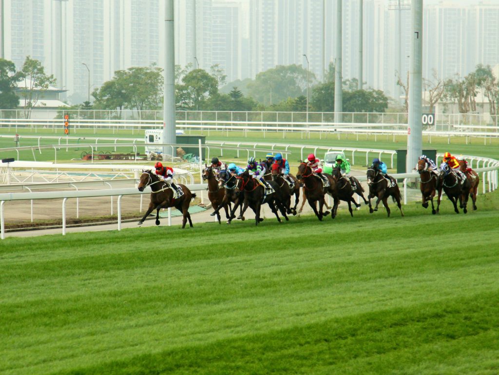 Hong Kong Neighborhoods: A Local's Guide Hong Kong Neighborhoods: A Local's Guide