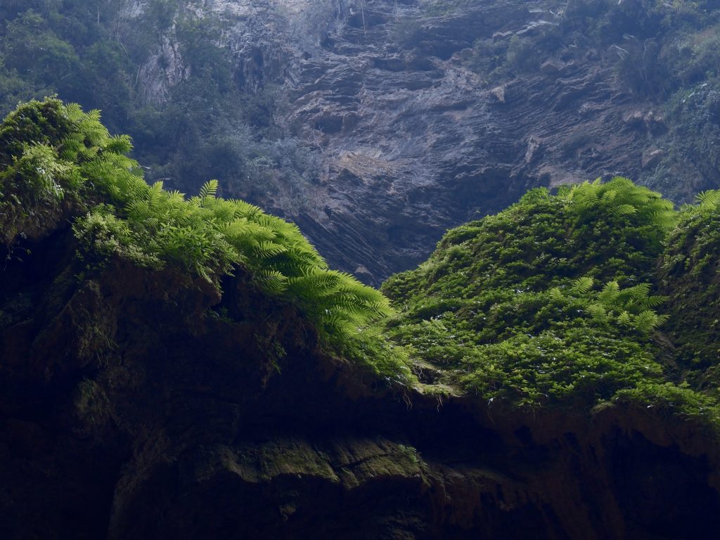 Discovering the Wonders of Chongzuo Discovering the Wonders of Chongzuo