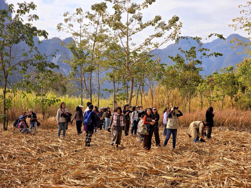 Discovering the Wonders of Chongzuo Discovering the Wonders of Chongzuo