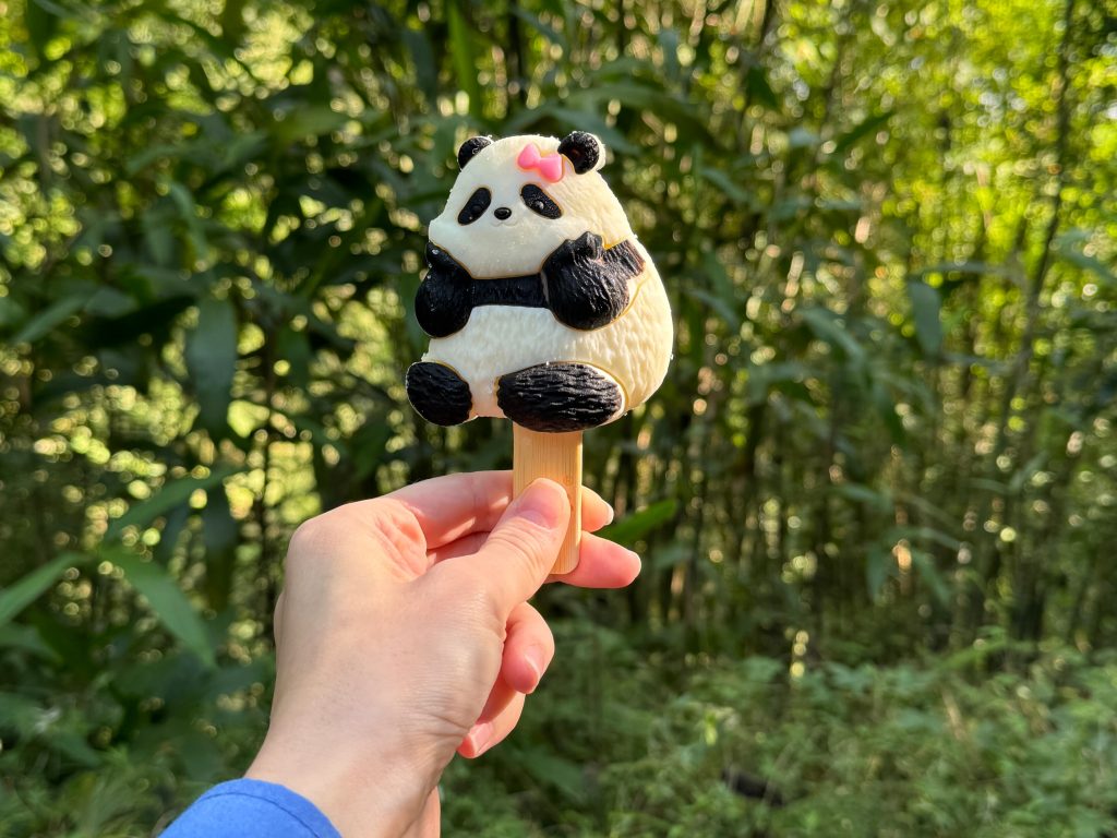 Chengdu: A Family Adventure in China’s Panda Capital Chengdu: A Family Adventure in China’s Panda Capital