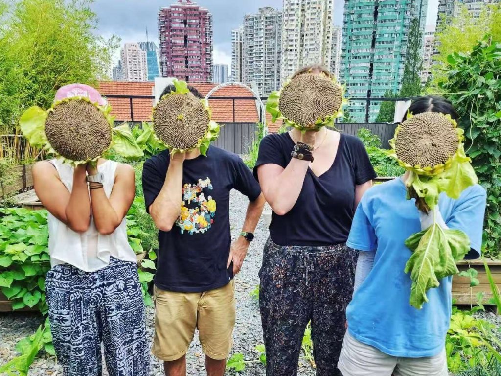 Rooftop Farming: Cultivating Green Spaces in a Chinese Megacity Rooftop Farming: Cultivating Green Spaces in a Chinese Megacity
