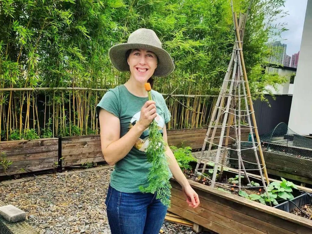 Rooftop Farming: Cultivating Green Spaces in a Chinese Megacity Rooftop Farming: Cultivating Green Spaces in a Chinese Megacity