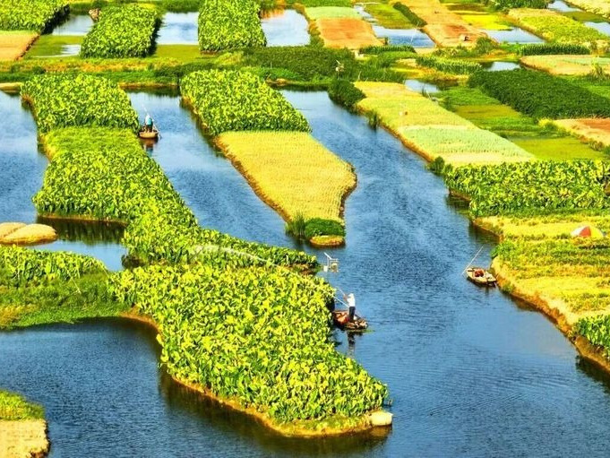 Four Villages in China Honored by UN Tourism for Sustainability UN Tourism Best Tourism Villages 2025: "Stack field" aquaculture in Dongluo Village in Jiangsu