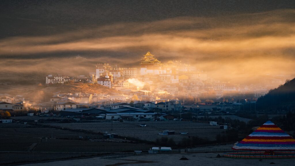 Our Team’s 5 Favorite Photos of 2025 Our Team’s 5 Favorite Photos of 2025