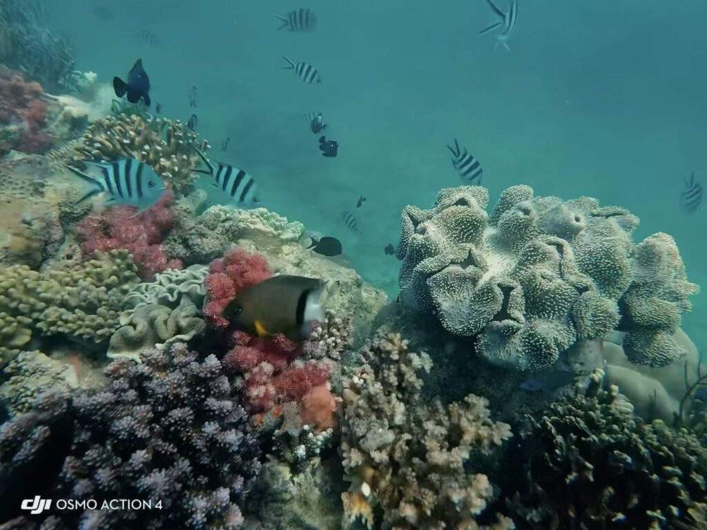 WildChina Team’s Travel Highlights 2025 WildChina Team’s Travel Highlights 2025