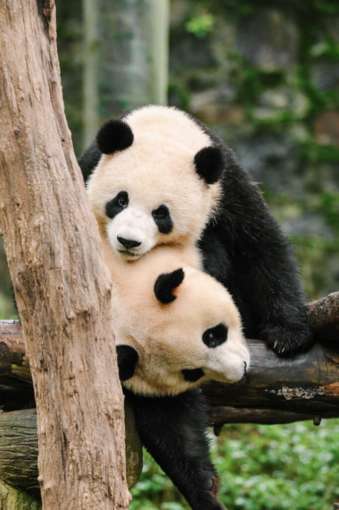 Our Team’s 5 Favorite Photos of 2025 Our Team’s 5 Favorite Photos of 2025