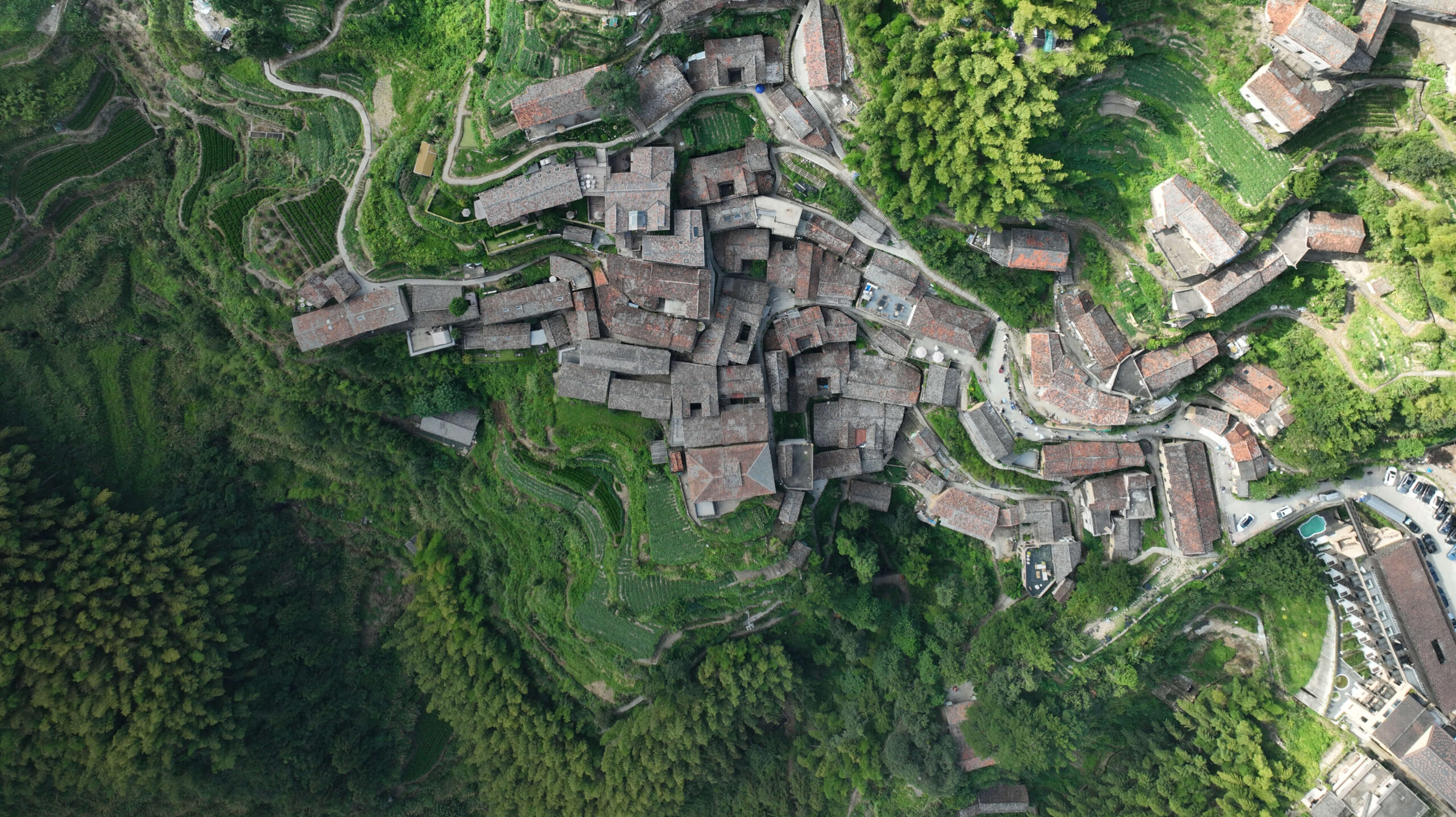 Conservation & Sustainability In China