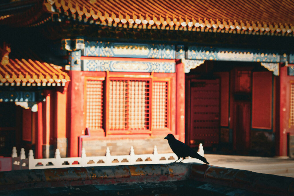 Birding in China: Where to See Birdlife Birding in China: Where to See Birdlife