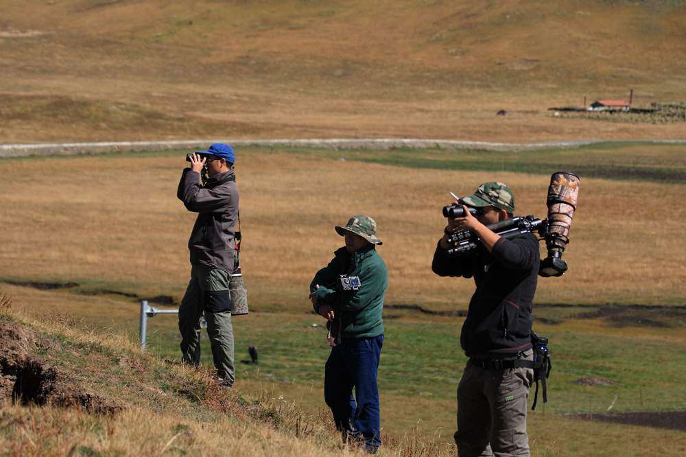 Birding in China: Where to See Birdlife Birding in China: Where to See Birdlife