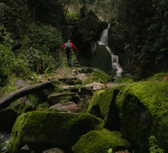 A hiker walking on a stone path next to a waterfall on Songyang ancient trails.